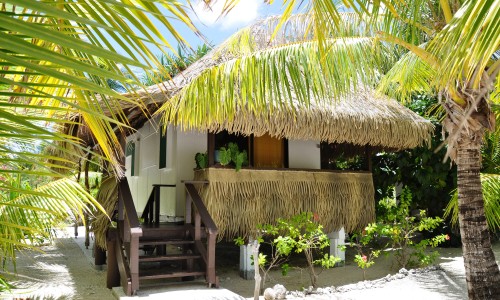 Pension Tikehau Paradise